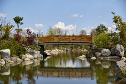 Japanese Garden Bridge